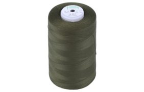 нитки швейные 100% pe 40/2 цв 1422 зеленый темный (боб 5000м) euron купить по 165.6 - в интернет - магазине Веллтекс | Калининград
.
