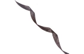 лента нитепрошивная 10мм цв черный (рул 100м) danelli l4yp44 купить по 177.6 - в интернет - магазине Веллтекс | Калининград
.